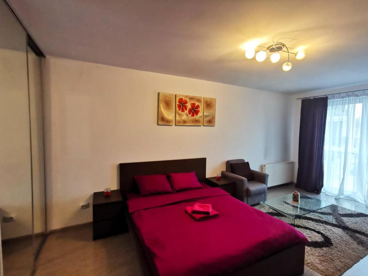 Contemporary Central Apartment In Cluj Napoca Экстерьер фото